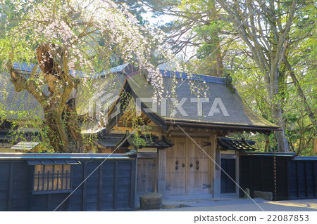 秋田kakkodo樹籬櫻花樹和武士住宅 22087853