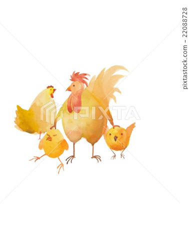 公雞新年的材料 22088728