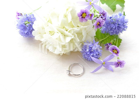 鮮花和訂婚戒指 22088815