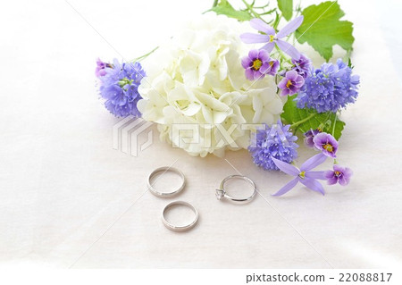 Something Blue Wedding 22088817