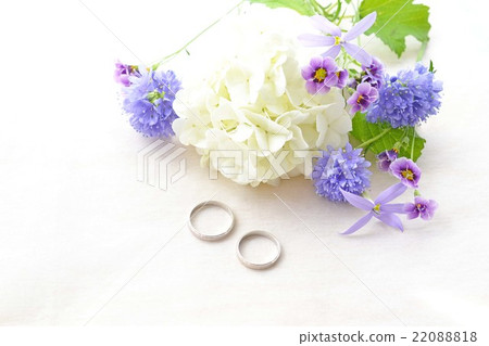Flowers and marriage rings 22088818