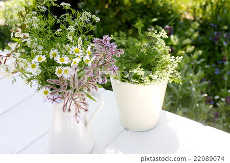 Herb pot plants and flower arrangements Herb pot plants and flower arrangements 22089074