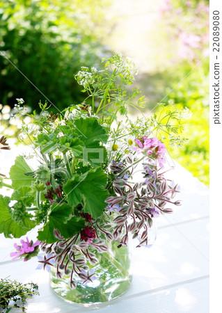 草本花卉生活在玻璃壺 22089080