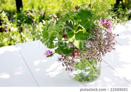Herb flowers living in glass pots 22089081