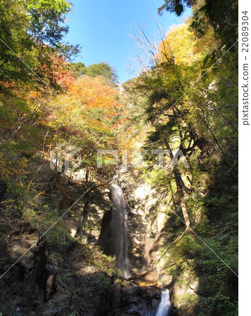 Senba Waterfall Senba Waterfall 22089304