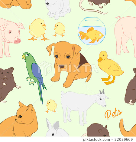 Animals pets vector colorful pattern Animals pets vector colorful pattern 22089669