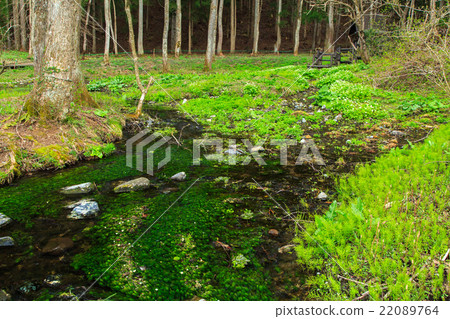 Himekawa source flow 22089764