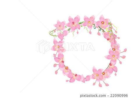 crown pink flowers isolated on white background, - Stock Illustration ...