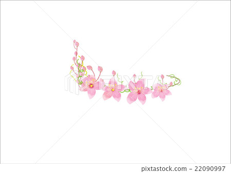 crown pink flowers isolated on white background, - Stock Illustration ...