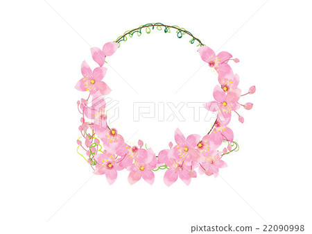 crown pink flowers isolated on white - Stock Illustration [22090998 ...