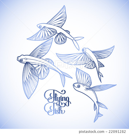 Graphic flying fish collection Graphic flying fish collection 22091282
