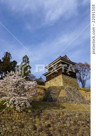真田丸丸Motoshiro櫻花春天信州上田城(真田城堡) 真田丸丸Motoshiro櫻花春天信州上田城(真田城堡) 22091508