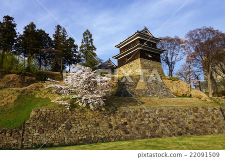真田丸丸Motoshiro櫻花春天信州上田城(真田城堡) 真田丸丸Motoshiro櫻花春天信州上田城(真田城堡) 22091509