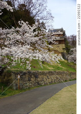 真田丸丸Motoshiro櫻花春天信州上田城（真田城堡） 22091522