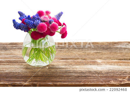 Muscari and Daisy Flowers Muscari and Daisy Flowers 22092468