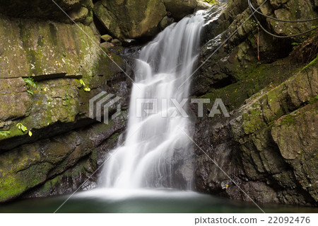 Cow Takiyama Jinsei Waterfall Cow Takiyama Jinsei Waterfall 22092476