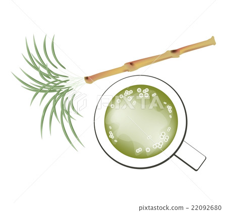 Fresh Sugarcane and Refreshing Sugar Cane Juice Fresh Sugarcane and Refreshing Sugar Cane Juice 22092680