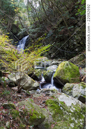 Cow Takiyama Jinsei瀑布 Cow Takiyama Jinsei瀑布 22092692