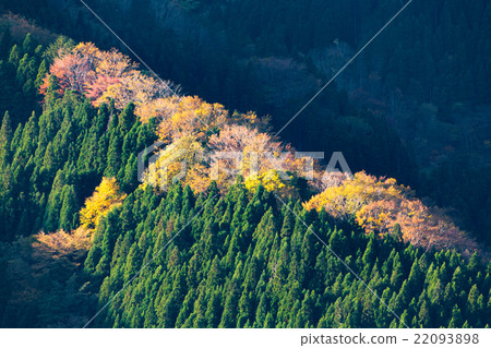 Autumn Namego Valley Autumn Namego Valley 22093898