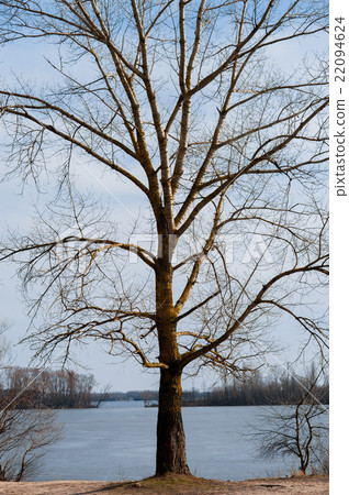 Nature background with spring landscape Nature background with spring landscape 22094624