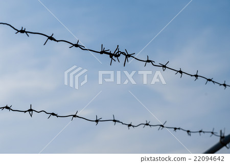 Security with a barbed wire fence Security with a barbed wire fence 22094642