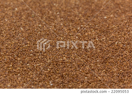 Tef (grain): TEFF Tef (grain): TEFF 22095053