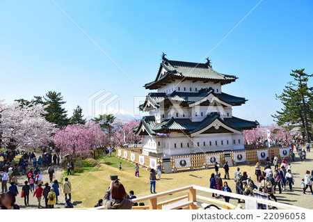 春天弘前城堡 22096058