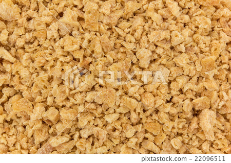 紋理植物蛋白質：紋理植物蛋白質 22096511