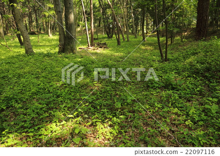 Takiyama Takiyama Nature Park 22097116
