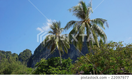railey island railey island 22097977
