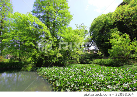 Katakura Castle Ruins Park 22098164