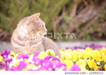 called? called? 22098331