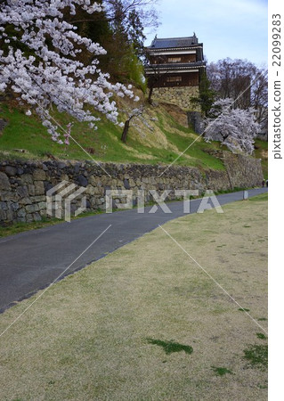 真田丸丸Motoshiro櫻花春天信州上田城（真田城堡） 22099283