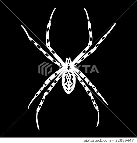 Vector black and white spider. Argiope bruennic 22099447