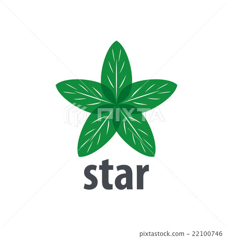 vector logo star vector logo star 22100746
