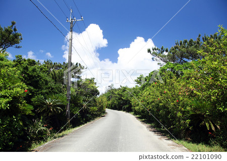奄美大島在仲夏 奄美大島在仲夏 22101090