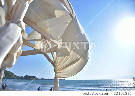 夏天的海 22101555