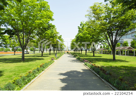 Photo material "Tokyo coastal area wide area disaster prevention park" Photo material "Tokyo coastal area wide area disaster prevention park" 22104254
