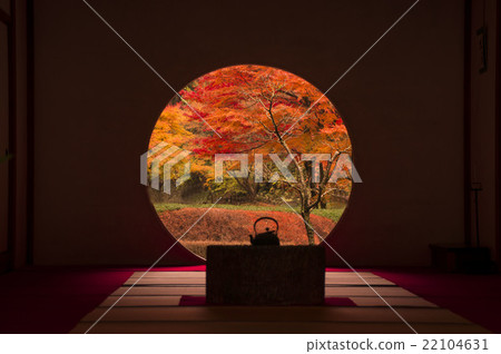 Meigetsuin in Kamakura Meigetsuin in Kamakura 22104631