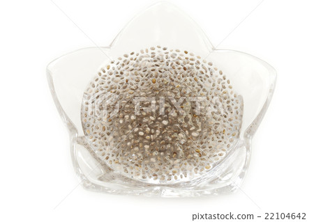 Chia seed 22104642