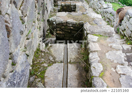 Landscape of Machu Picchu 22105160