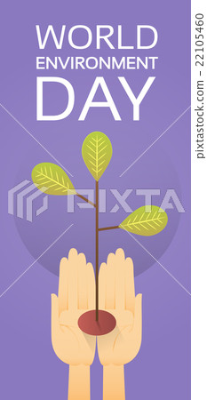 Hands Hold Growing Tree World Environment Day 22105460