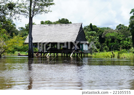 The Amazon River 22105555