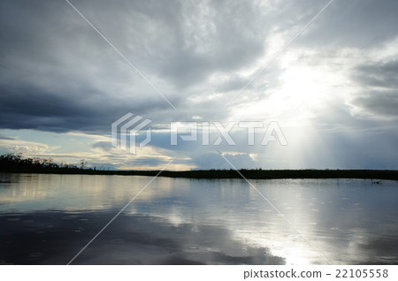 The Amazon River 22105558