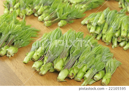 Cosi文胸收穫 22105595