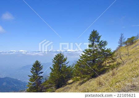 Major Bodhisattva where the Southern Alps can be seen 22105621