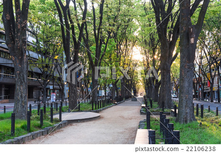 Senzentadori taking a Sendai sunrise 22106238