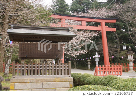 Katori Shrine Katori Shrine 22106737