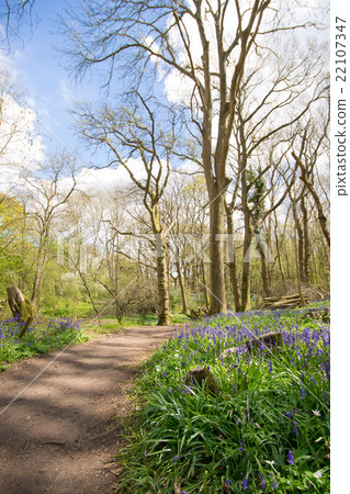 一組藍色的鐘聲 一組藍色的鐘聲 22107347