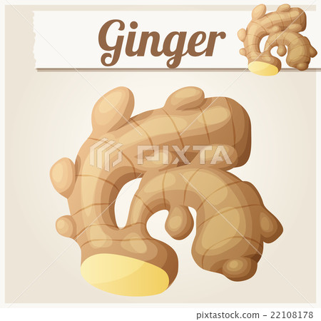 Ginger vector cartoon icon 22108178